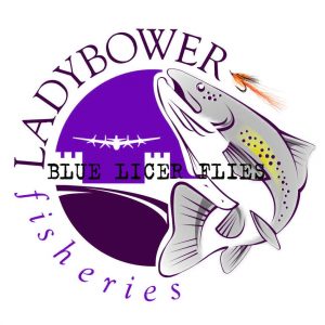 Ladybower Blue Licer Flies